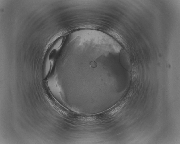 X0000062620349200601181700