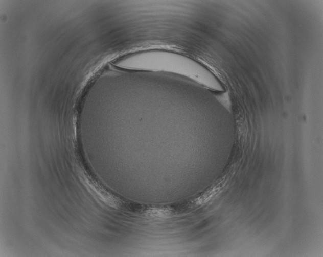 X0000062620350200601181700