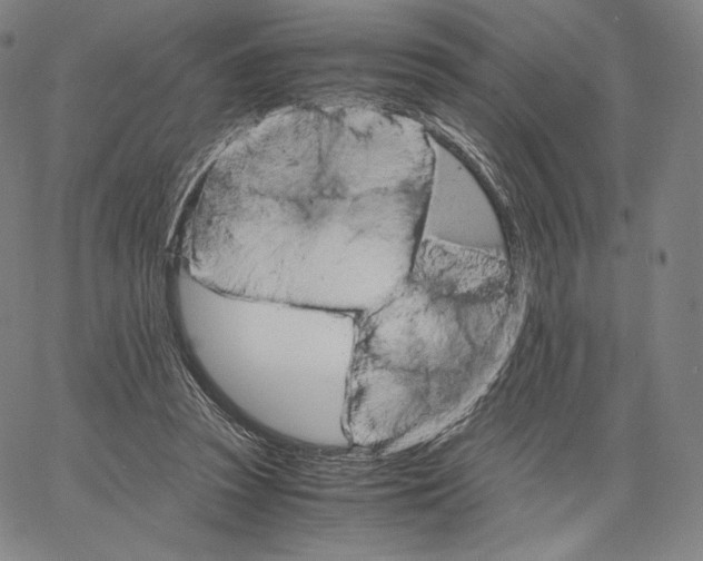 X0000062620353200601181700