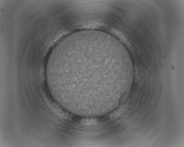 X0000062620354200601181700