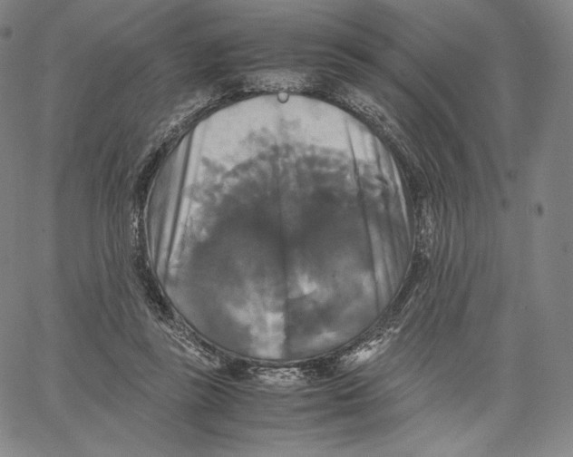 X0000062620355200601181700