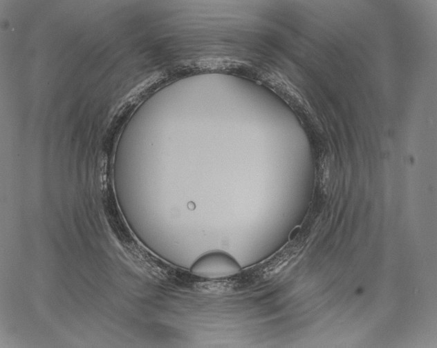 X0000062620356200601181700