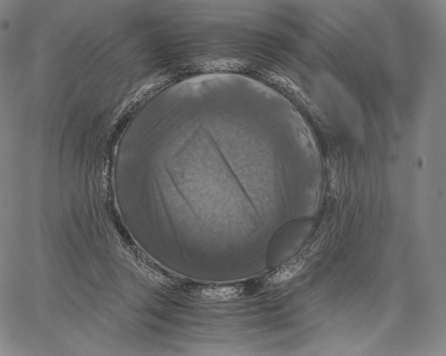 X0000062620357200601181700