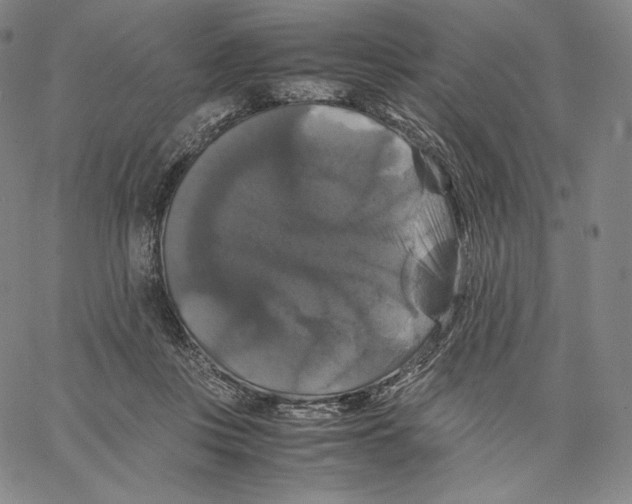 X0000062620359200601181700