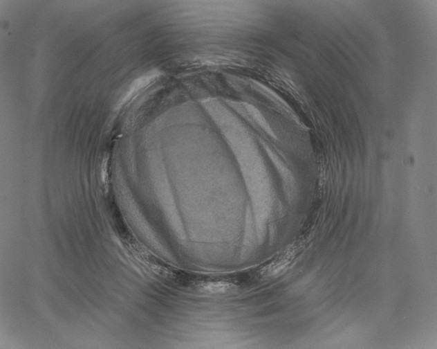 X0000062620360200601181700