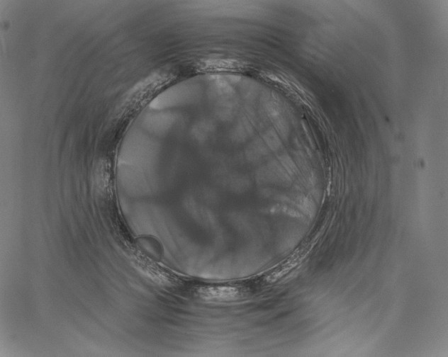 X0000062620361200601181700