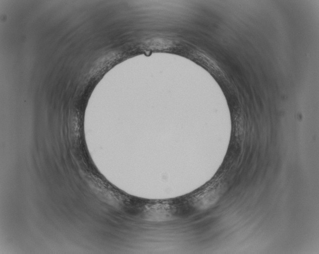 X0000062620362200601181700