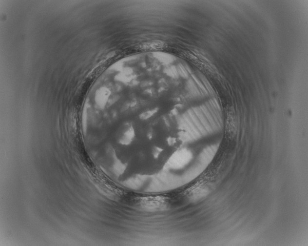 X0000062620363200601181700