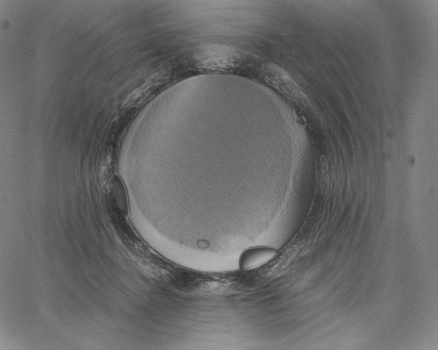 X0000062620364200601181700