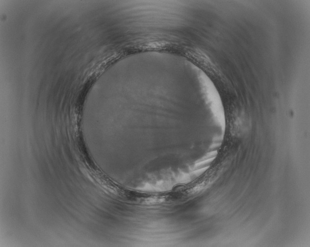 X0000062620366200601181700