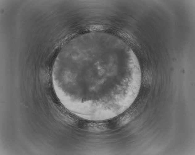 X0000062620367200601181700