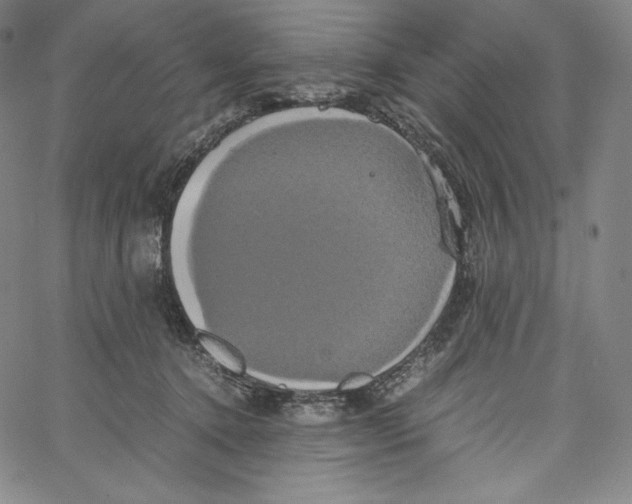 X0000062620368200601181700