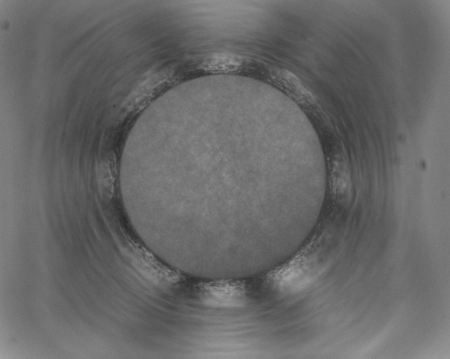 X0000062620370200601181700