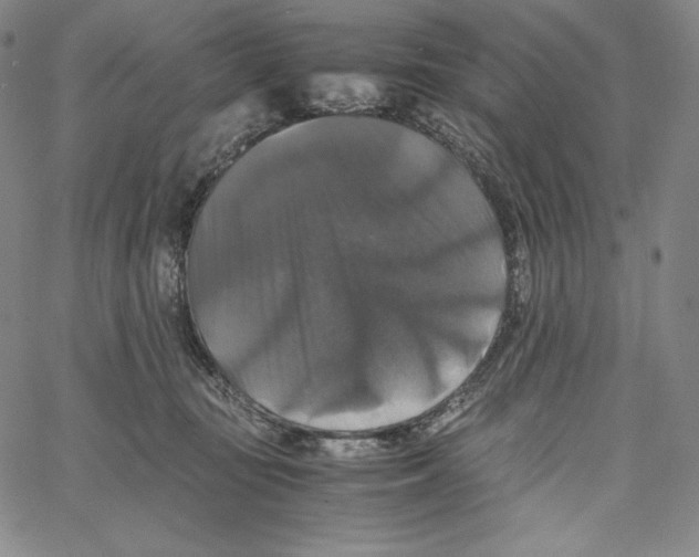 X0000062620371200601181700