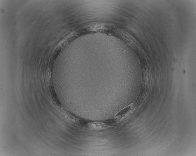 X0000062620372200601181700