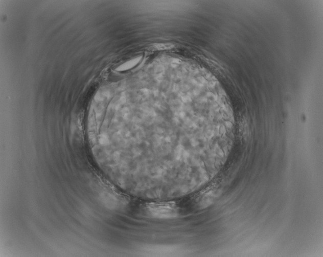 X0000062620373200601181700