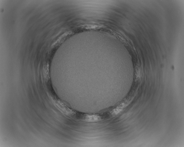 X0000062620376200601181700