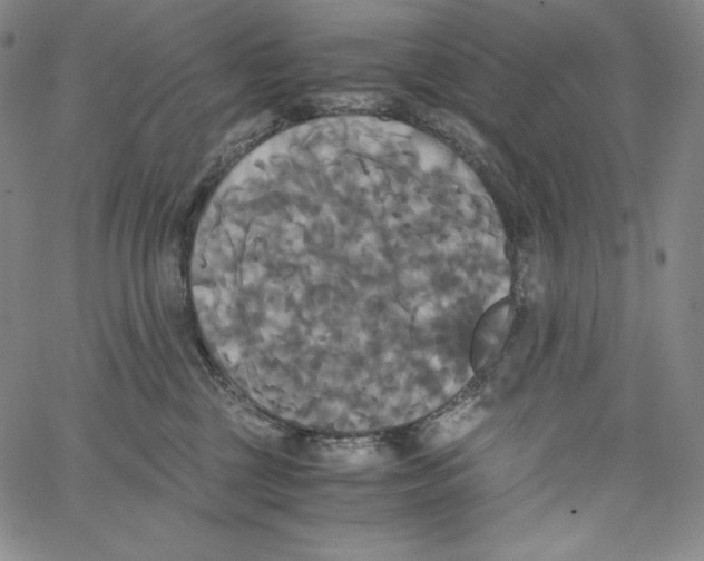 X0000062620377200601181700