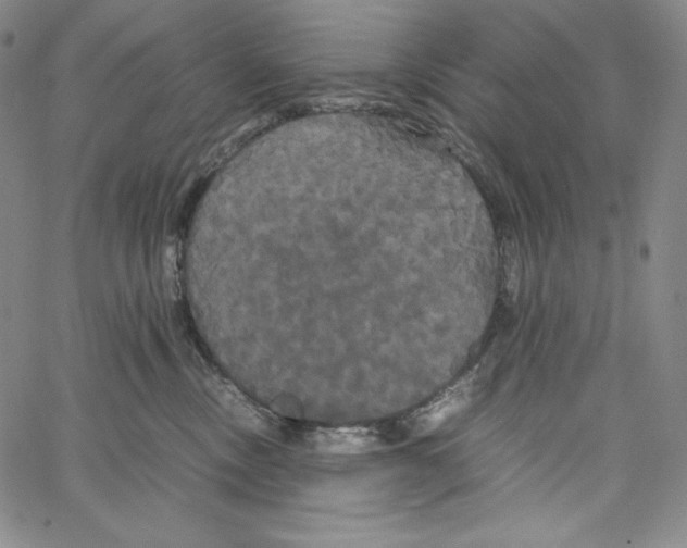 X0000062620378200601181700