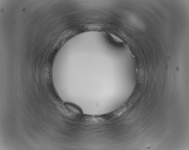 X0000062620379200601181701