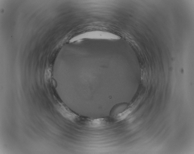 X0000062620382200601181701