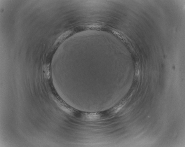 X0000062620383200601181701