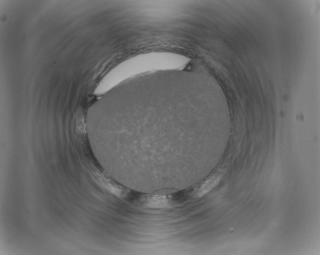 X0000062620384200601181701