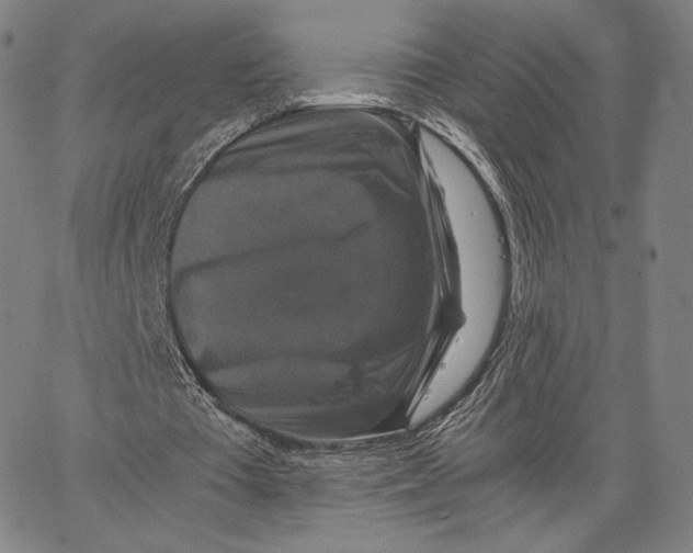 X0000062620385200601181700