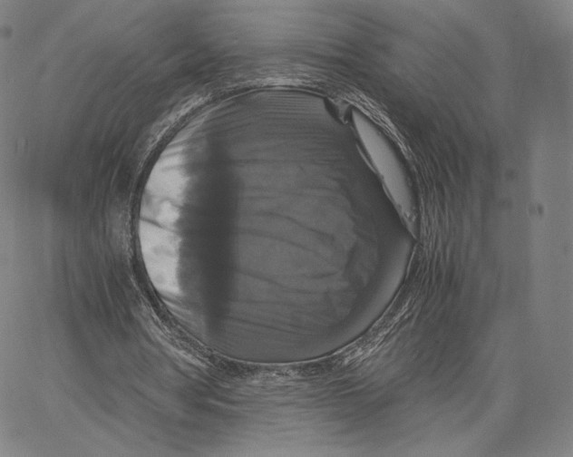 X0000062620386200601181700