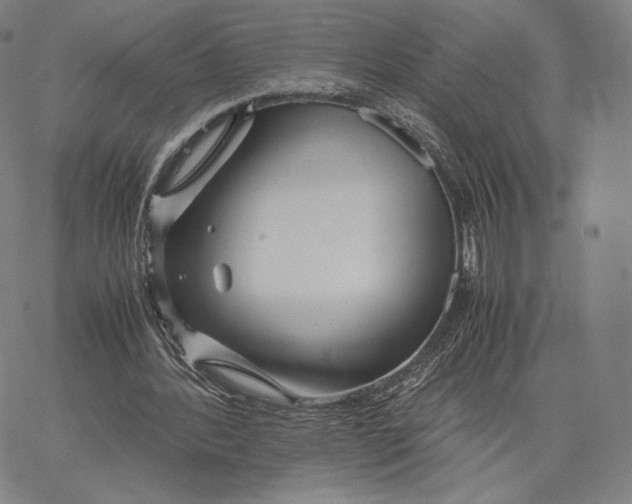 X0000062620388200601181700