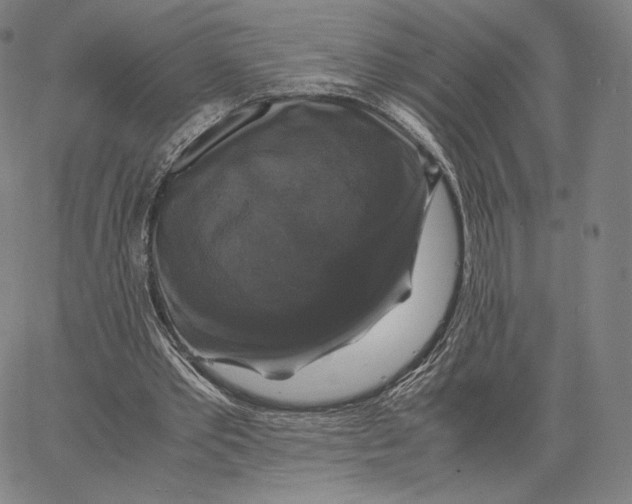 X0000062620389200601181700