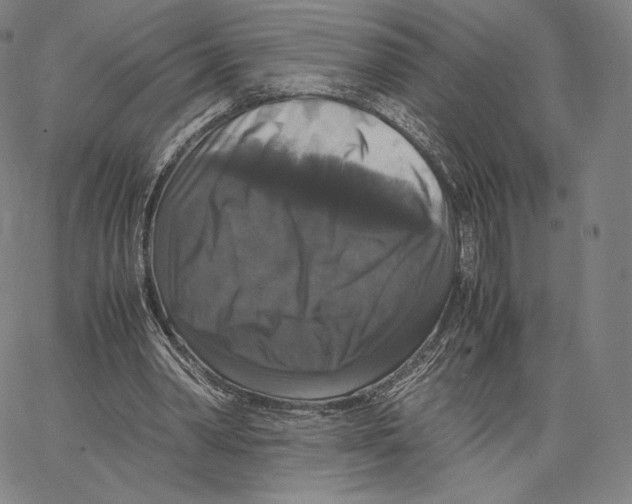 X0000062620390200601181700