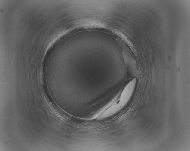 X0000062620391200601181700