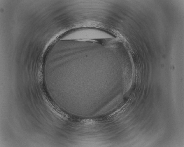 X0000062620392200601181700