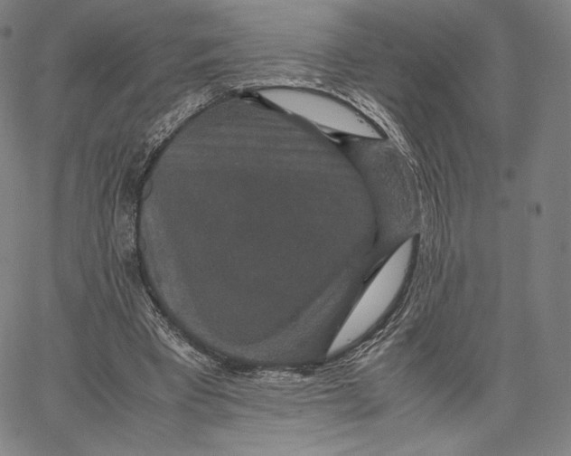 X0000062620393200601181700