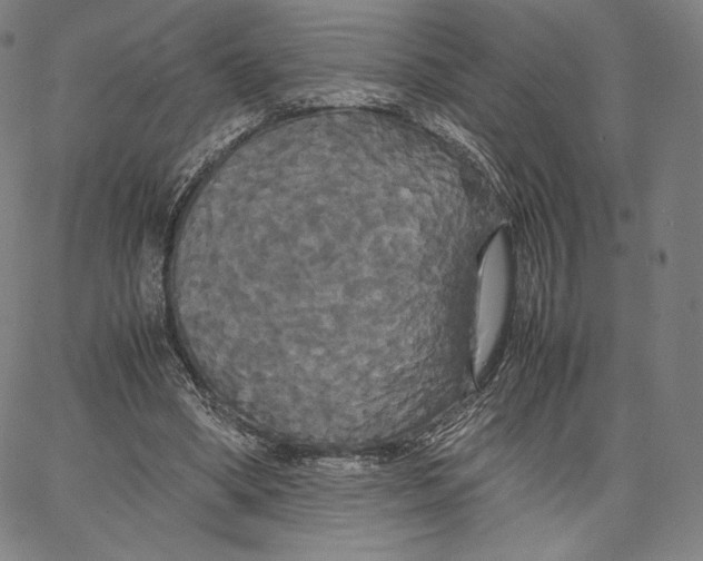 X0000062620394200601181700