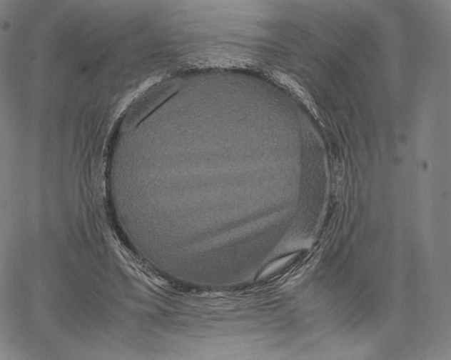 X0000062620395200601181700