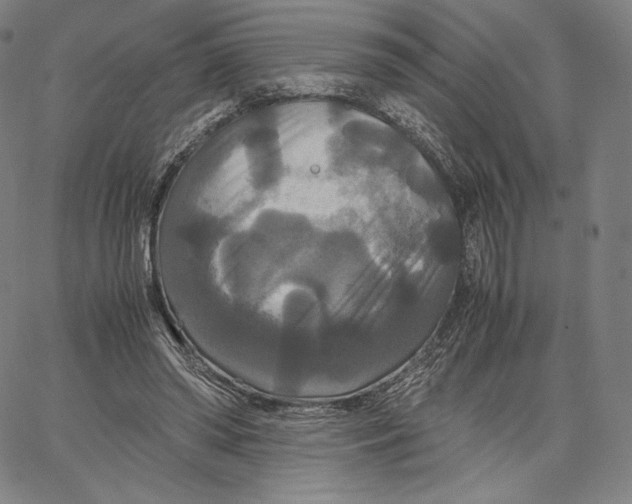 X0000062620398200601181700