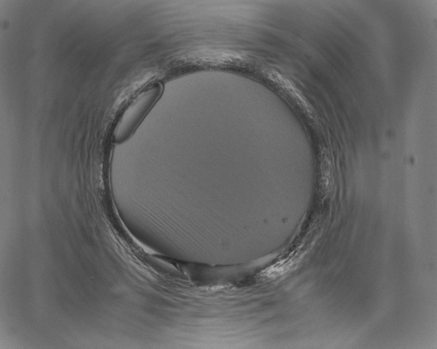 X0000062620399200601181700