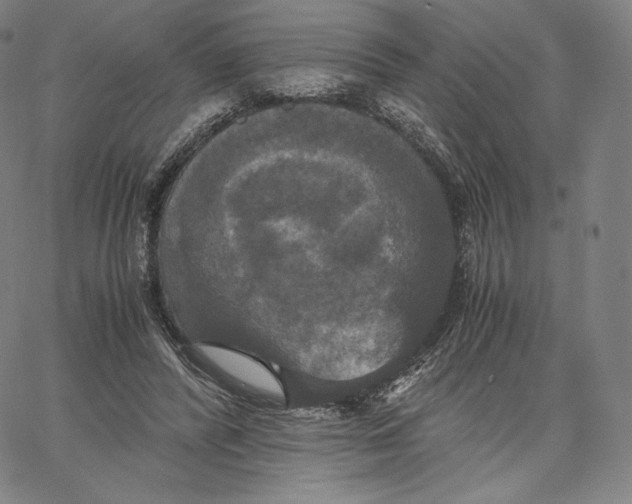 X0000062620400200601181700