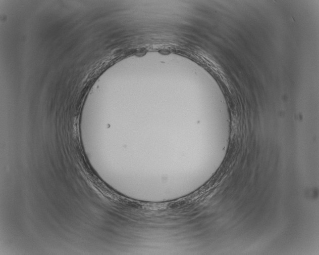 X0000062620401200601181700