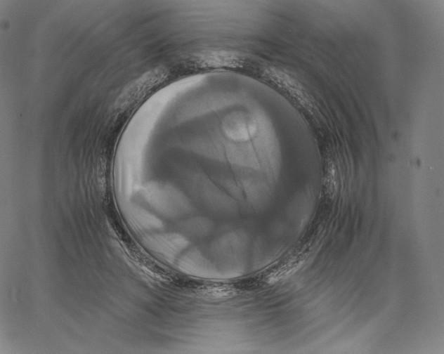 X0000062620402200601181700