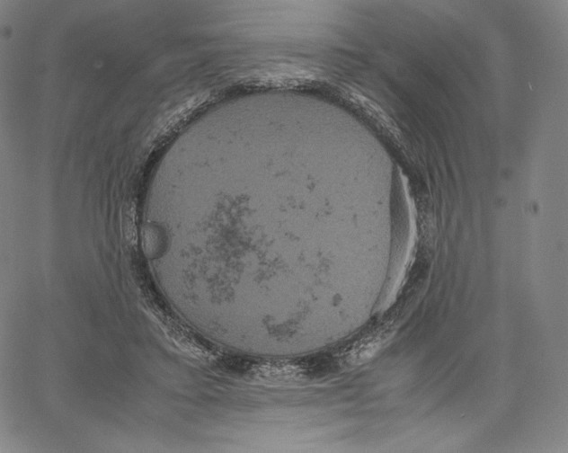 X0000062620403200601181659