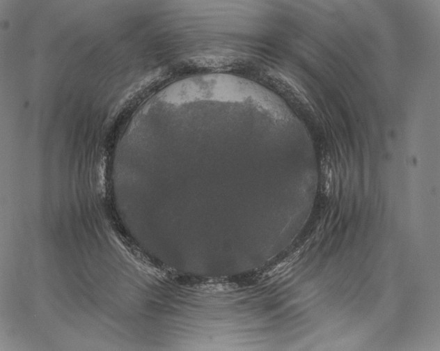 X0000062620404200601181659