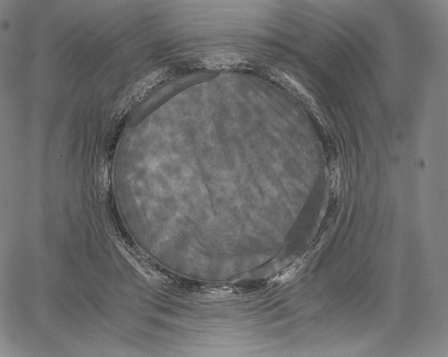 X0000062620405200601181659