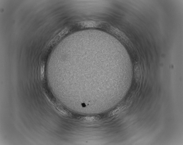 X0000062620406200601181659