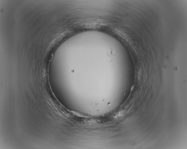 X0000062620407200601181659