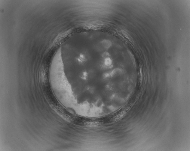 X0000062620408200601181659