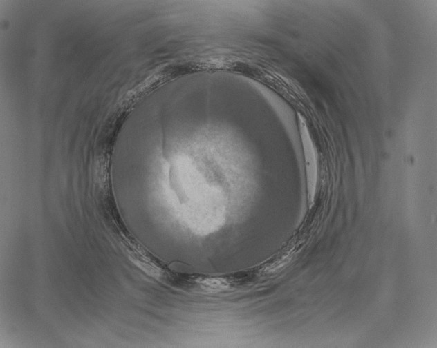 X0000062620409200601181659