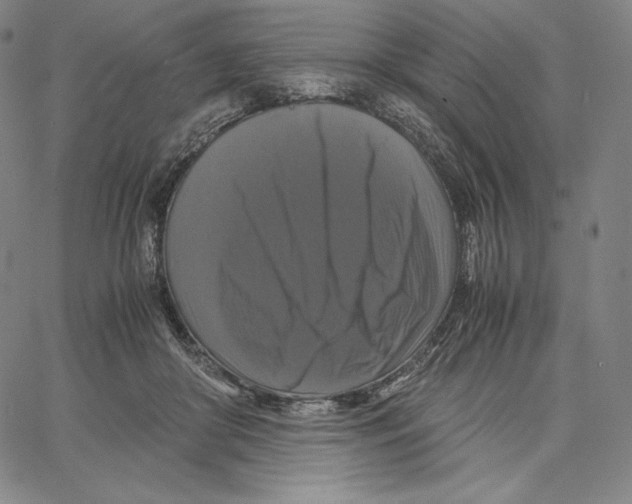 X0000062620410200601181659